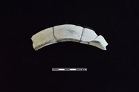 藏品(陶罐)的圖片